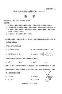 梅州市2025届2月高三总复习质检数学试题【含答案】