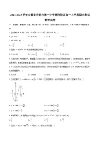 2024-2025学年安徽省合肥市第一中学淝河校区高一上学期期末测试数学试卷（含答案）