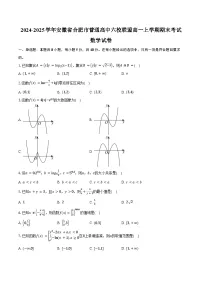 2024-2025学年安徽省合肥市普通高中六校联盟高一上学期期末考试数学试卷（含答案）