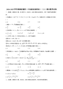 2024-2025学年湖南省衡阳一中创新实验班高一(上)期末数学试卷(含答案)