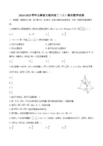 2024-2025学年云南省大理州高二（上）期末数学试卷（含答案）