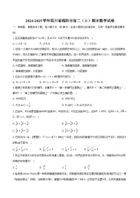 2024-2025学年四川省绵阳市高二（上）期末数学试卷（含答案）