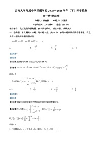云南省昆明市官渡区云南大学附属中学星耀学校2024-2025学年高一下学期开学检测数学试题（解析版）