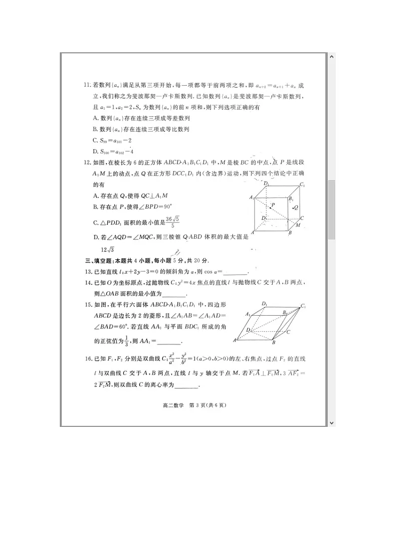 广东省湛江市2023-2024学年高二上学期1月期末考试 数学 含解析第3页