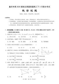 重庆市拔尖强基联盟2024-2025学年高三下学期2月联合考试数学试题（含解析）