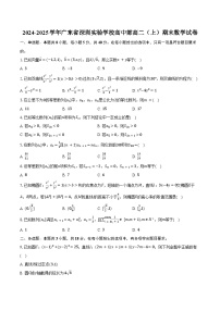 2024-2025学年广东省深圳实验学校高中部高二（上）期末数学试卷（含答案）
