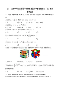 2024-2025学年四川省内江市资中县球溪高级中学普通班高三(上)期末数学试卷(含答案)
