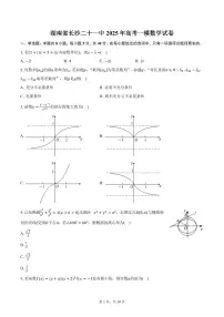 湖南省长沙二十一中2025年高考一模数学试卷（含答案）