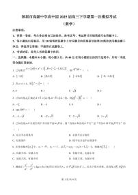广东省深圳市高级中学高中园2025届高三高考模拟第一次模拟考试-数学试题+答案