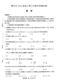 2025届湖南省郴州市三模高三第三次教学质量监测数学试题+答案