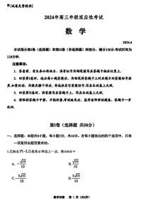 2024届贵州省高三年级4月适应性考试-数学试卷（含答案）