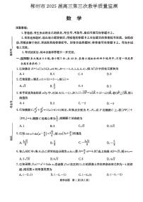湖南省郴州市2025届高三第三次教学质量检测数学试卷（附参考答案）