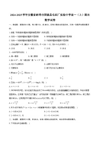 2024-2025学年安徽省蚌埠市固镇县毛钽厂实验中学高一(上)期末数学试卷(含答案)