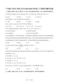 广东省广州市广东仲元中学2024-2025学年高三下学期月考数学试卷（含答案）