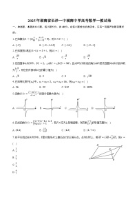 2025年湖南省长沙一中城南中学高考数学一模试卷（含答案）