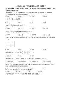 河南省平顶山市叶县叶县高级中学2024-2025学年高二下学期2月月考 数学试题（含解析）