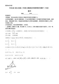 2024届河北省高三大数据应用调研联合测评（Ⅷ）-数学试卷（含答案）