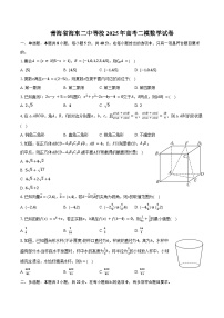 青海省海东二中等校2025年高考二模数学试卷（含解析）
