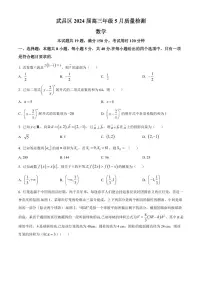 2024届湖北省武汉市武昌区高三二模-数学试卷（含答案）