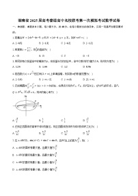 湖南省2025届高考普通高中名校联考第一次模拟考试数学试卷（含答案）