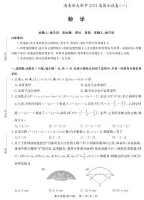 2024届湖南师大附中高三下学期模拟考试（一）数学试卷（含答案）