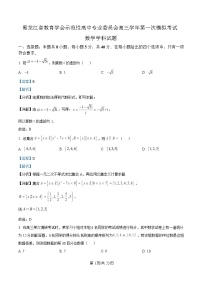 黑龙江省教育学会示范性高中专业委员会2025届高三下学期第一次模拟考试数学试卷 含解析