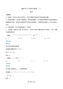 辽宁省重点高中2025届高三下学期一模考试数学试题 含解析