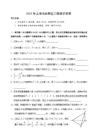 2025年上海市浦东新区高三二模数学试卷和参考答案