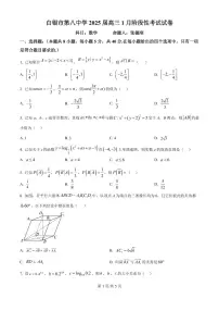 甘肃省白银市第八中学2024-2025学年高三上学期1月月考数学试卷（含答案）