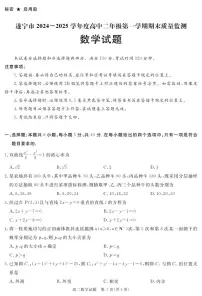 四川省遂宁市2024-2025学年高二上学期期末(1月)数学试卷(含答案)
