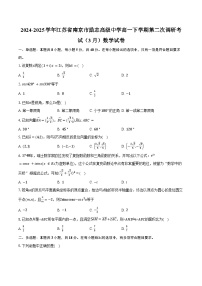 2024-2025学年江苏省南京市励志高级中学高一下学期第二次调研考试（3月）数学试卷（含答案）