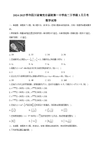 2024-2025学年四川省南充市嘉陵第一中学高二下学期3月月考数学试卷（含答案）
