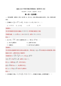 05(新高考Ⅰ卷专用)-2025年高考数学模拟卷