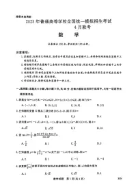 金科新未来2025届高三下学期4月考大联考-数学试题+答案