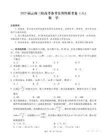 2025届云南三校高考备考实用性联考卷(六)数学试卷(含答案)