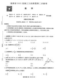 湖南省九校联盟2025届高三下学期第二次联考数学试卷(含答案)