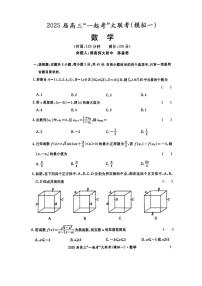 湖南部分学校2025届高三“一起考”大联考（模拟一）数学试卷（含答案）