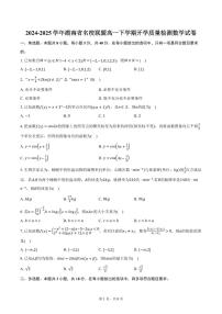 湖南省名校联盟2024-2025学年高一下学期开学检测 数学试卷(含答案)