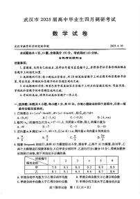 武汉市2025届高中毕业生四月调研考试数学试卷（附参考答案）