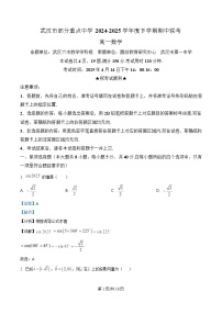 湖北省武汉市部分重点学校2024-2025学年高一下学期期中联考数学试题 含解析