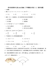 贵州省贵阳市七校2025届高三下学期联合考试（三）数学+答案