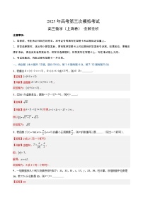2025年高考第三次模拟考试卷：数学（上海卷）（解析版）