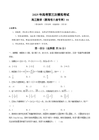 2025年高考第三次模拟考试卷：数学（新高考八省专用01 ）（考试版）