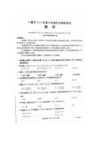 湖北省十堰市2023-2024学年高三元月调研考试 数学试卷（含答案）