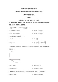 河南省高考综合性改革2025届高三第一次模拟考试 数学试题
