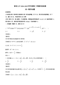 山东省青岛市青岛第九中学2024-2025学年高一下学期3月阶段检测 数学试题(含解析)