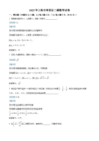 上海市奉贤区2025届高三下学期二模试题 数学 含解析