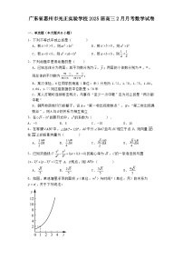广东省惠州市光正实验学校2025届高三2月月考数学试卷【含答案】