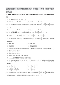 福建省龙岩市一级校联盟2023-2024学年高一下学期4月期中联考数学试题【含答案】