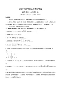 2025年高考第二次模拟考试卷：数学（上海卷01）（考试版）